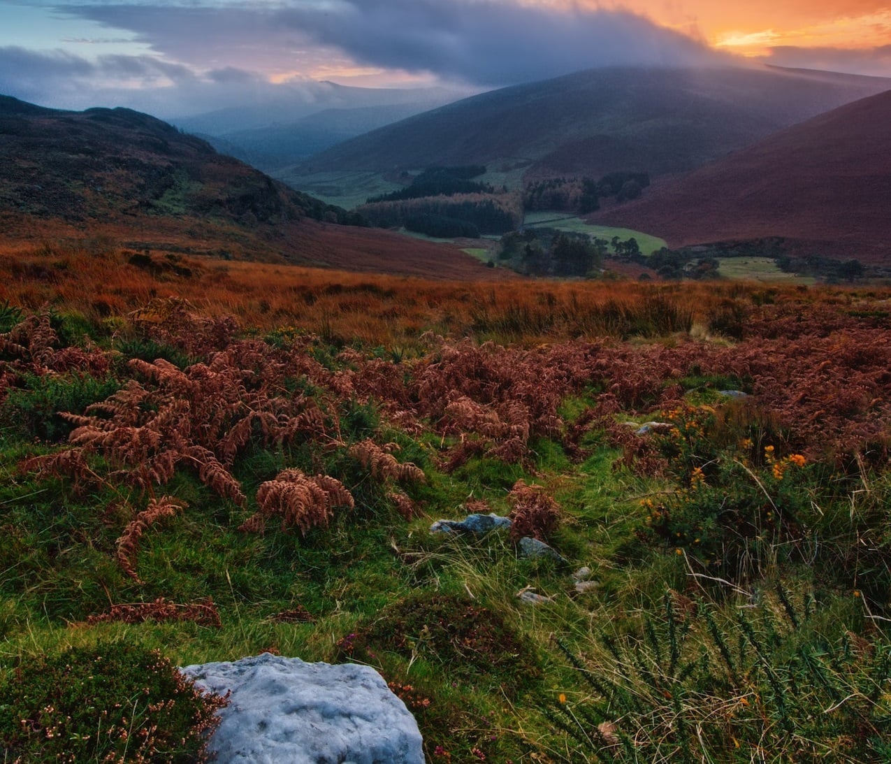 Grassy hills in Belfast